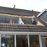 gat is eerst groot genoeg zo